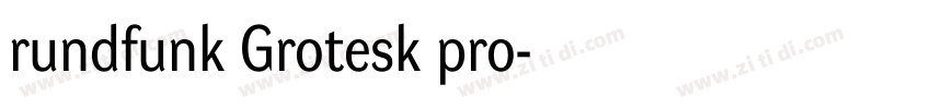 rundfunk Grotesk pro字体转换